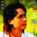 王起宏 - 蒂科与金翅膀