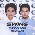 Swing - 中和点
