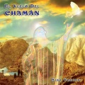 Sina Vodjani - The Shaman's Flight