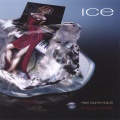 Fiona Joy Hawkins - Iced Rain