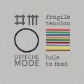 Depeche Mode - Perfect (Roger Sanchez Club Mix)