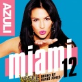 Azuli Miami '12 Mixed By David Jones