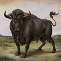 San Fermin - Methuselah