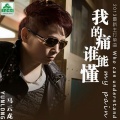 马云龙 - 我的痛没人懂 (DJ版新版)