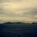 Sir Sly - Gold