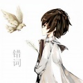 颜陌、苏童童 - 错词