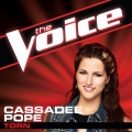 Cassadee Pope - Torn