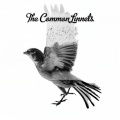 The Common Linnets - Calm After The Storm