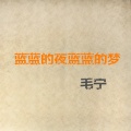 毛宁 - 蓝蓝的夜，蓝蓝的梦