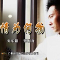 樊桐舟、安东阳 - 情为何物