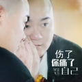 宋飞 - 伤了你痛了自己
