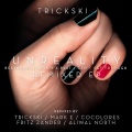trickski - Beginning