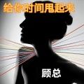 顾总 - 给你时间给我甩起来 (DJ版)