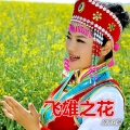 东方红艳 - 飞雄之花