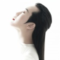 李玉刚 - 李