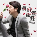 沙宝亮 - 有种你爱我