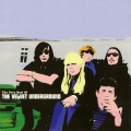 The Very Best Of The Velvet Underground
