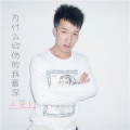王帮仁 - 为什么切伤的我最深
