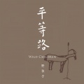 野孩子乐队 - 死之舞