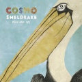 Cosmo Sheldrake - Pelicans We