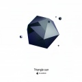 Triangle Sun - Summer Of Our Love