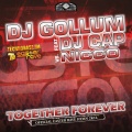 Nicco、DJ Cap、Gollum - Together Forever