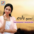 สายใย อุดมพร - ตั๋วแฟนว่าจังใด๋