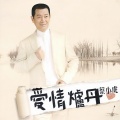 蔡小虎 - 不应该爱你