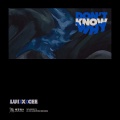 路壹Lu1 - Don’t Know Why