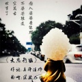 道然 - 大悲行愿