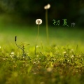 史超、张钊 - 五莲之歌