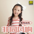 冯艺凡 - 红红红