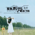 徐木子 - 是我不爱你了吗