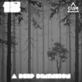 B&S Concept - One More Thing