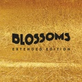 Blossoms - Across The Moor