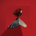 The Stray - 길 건너편에 네가