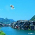 紫夜黑海 - 镇远