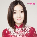 云菲菲 - 一枝梅