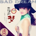 王小娟 - 想你的时光 (女版)