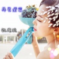 权志波 - 再见理想