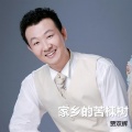 贾双辉 - 家乡的苦楝树