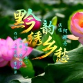 阿娜丹 - 黔韵绣乡愁