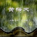 王渊超 - 黄梅天