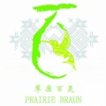 草原百灵合唱团 - 我的梦在草原