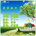 伊啦啦 - 草原春天