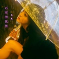 张萍 - 心雨的忧伤