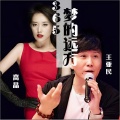 高晶、王亚民 - 365梦的远方