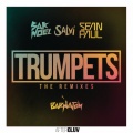 Trumpets (Toy Selectah & Broz Rdz Feat. Walshyfire Remix)