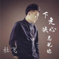 杜飞 - 下定决心忘记你
