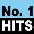 Radio Edit - Party in the Usa